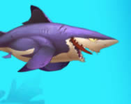Hungry shark arena