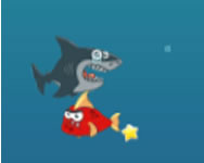 Mad shark HTML5