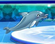 My dolphin show 8 HTML5 cps ingyen jtk