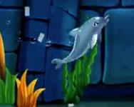 My dolphin show 7 HTML5 online